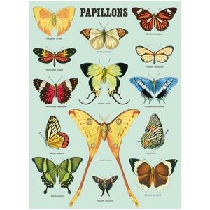 🦋 Cavallini & Co. Papillons Butterflies Luxury Vintage Image Poster - NWT